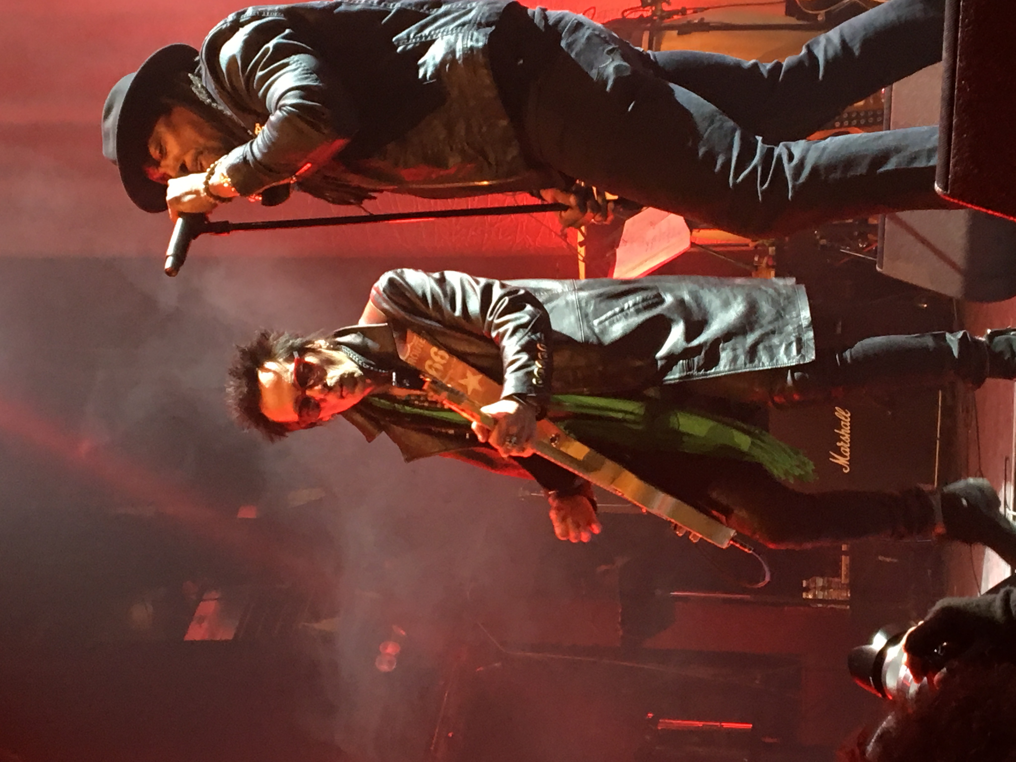Terminal 5, January 2017